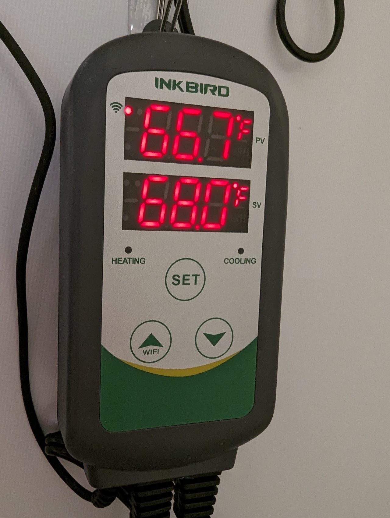 Photo of an Inkbird WiFi temperature controller